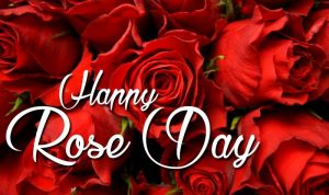 happy rose day photos 2021
