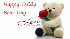 happy teddy day 2021 images